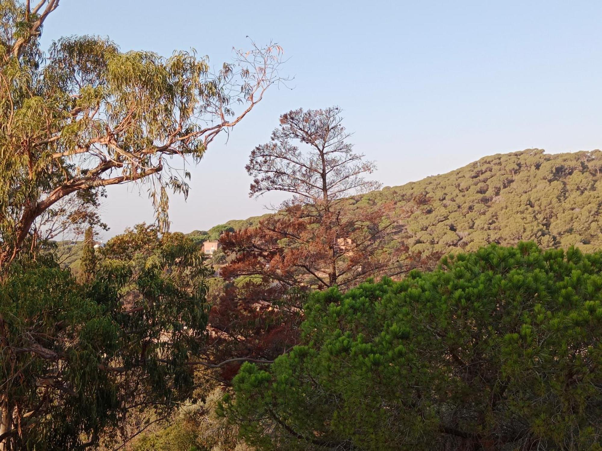 Alberg Cabrera De Mar Xanascat Dış mekan fotoğraf